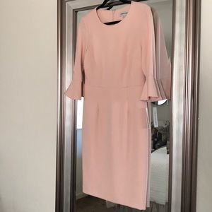 NWT, Size 10, Blush, Shelby Parker Dress.